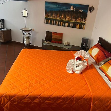 Historic Center Via Po Apartment Turin Ngoại thất bức ảnh